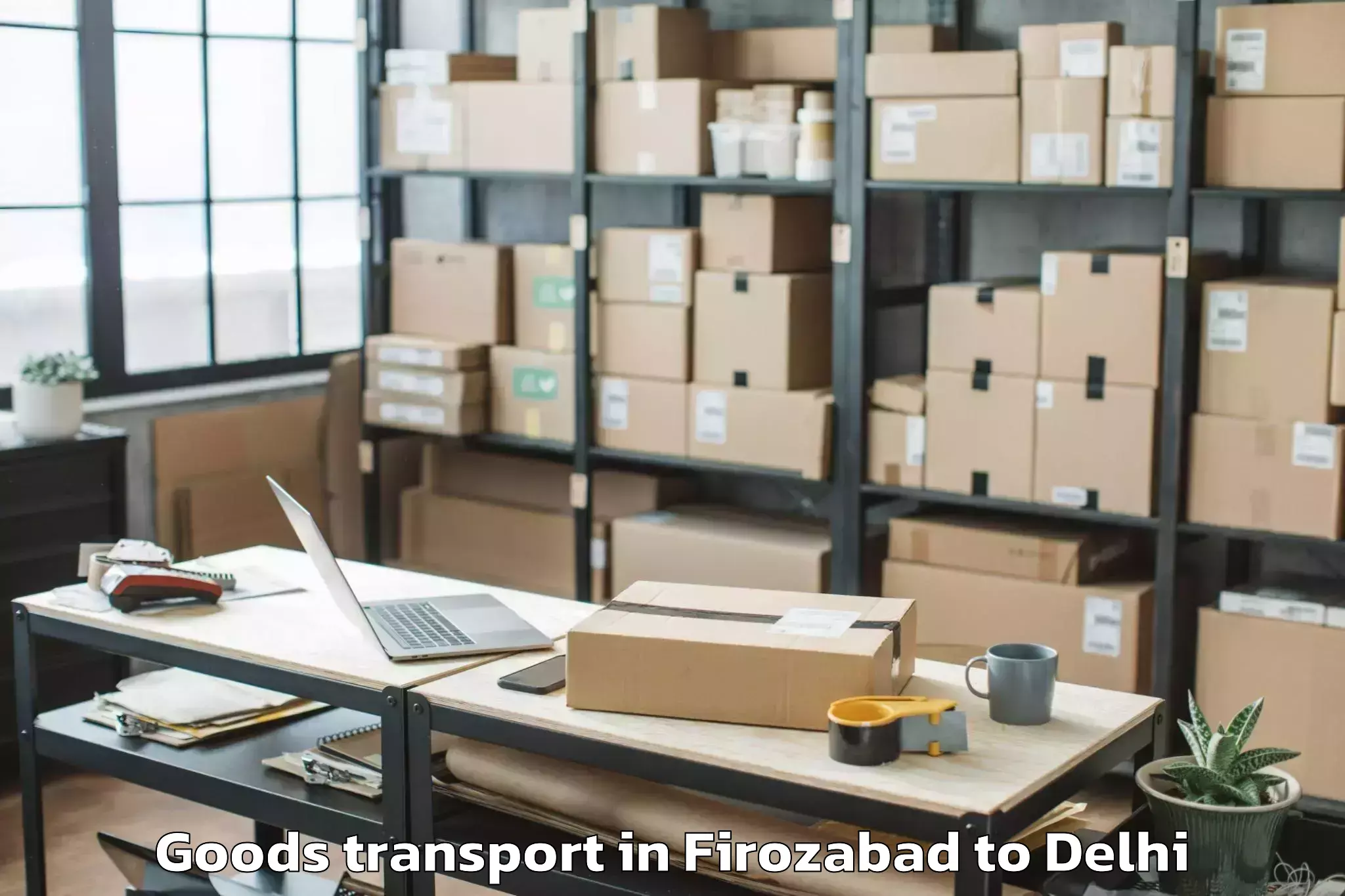 Efficient Firozabad to Indira Gandhi International Ai Goods Transport